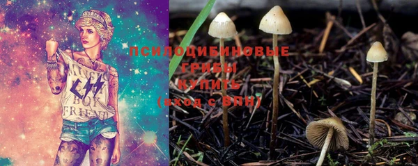 ALPHA PVP Белокуриха