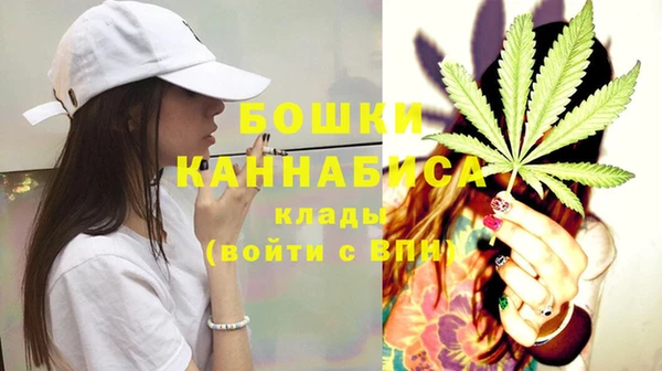 ГАЛЛЮЦИНОГЕННЫЕ ГРИБЫ Беломорск