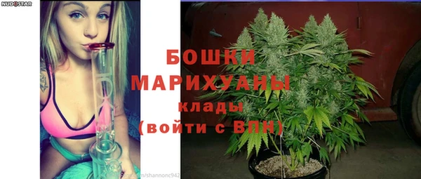 ALPHA PVP Белокуриха