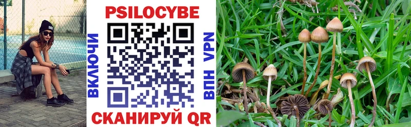 Псилоцибиновые грибы Psilocybine cubensis  мега зеркало  Купино 